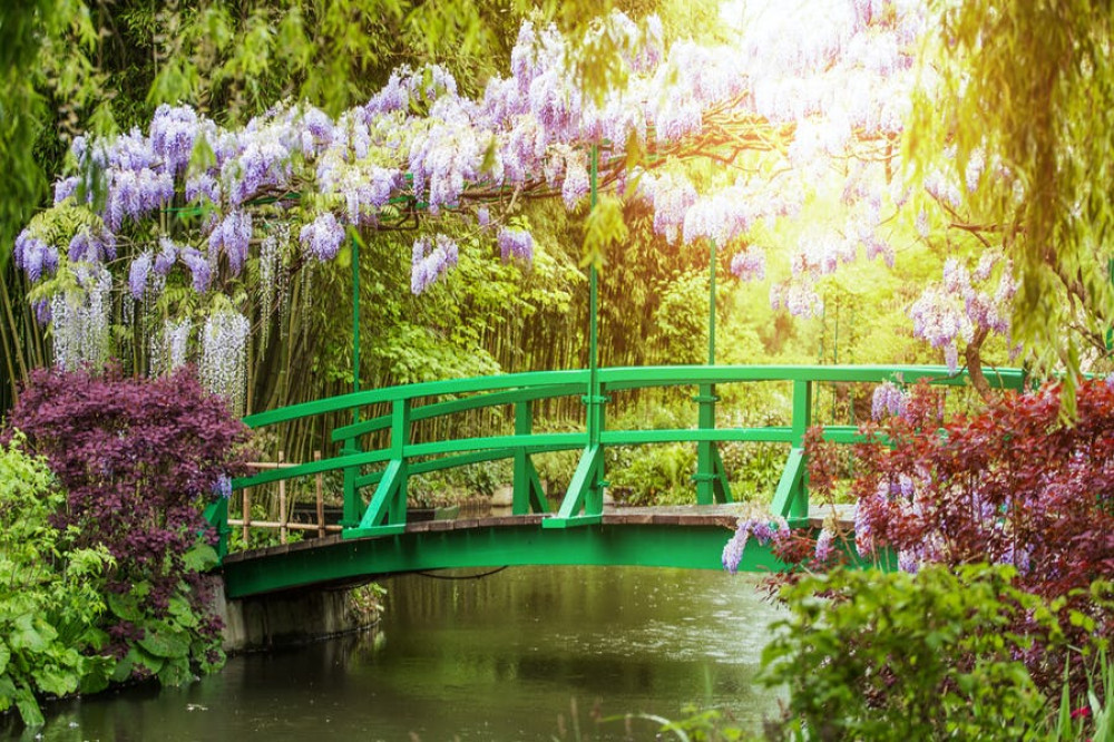 Private Driver: Shore Excursion Giverny & Notre-Dame de Louviers