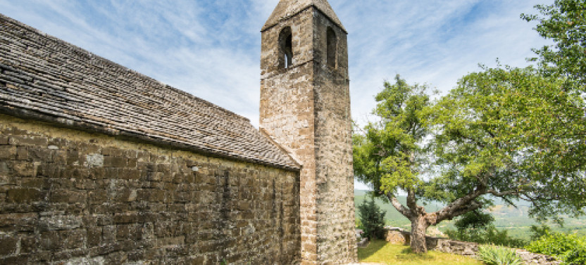 Private Shore Excursion: Koper & Slovenian Istria from Koper