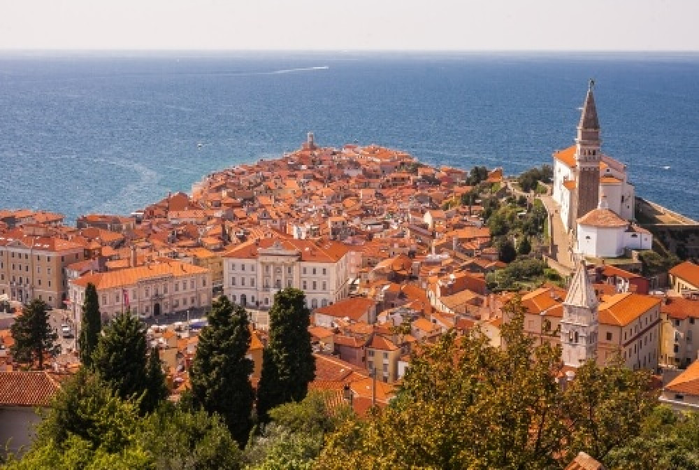 Private Shore Excursion: Piran, Skocjan caves & Lipica form Koper