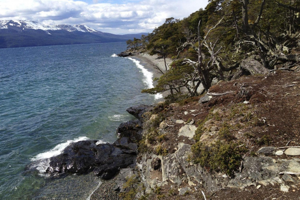 Private Shore Excursion Tierra Del Fuego National Park Ushuaia Project Expedition 4451