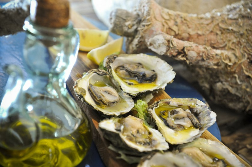 Private Ston Oyster Tasting from Trogir