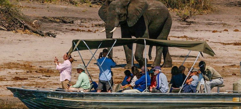 11D/10N - White Water Rafting + Chobe National Park Safari