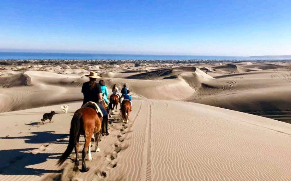 Private Shore Excursion (Valparaiso) Beach Horseback Riding