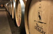 Domaine Debray1