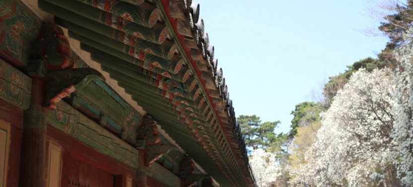 Private Excursion: Gyeongju Highlights Tour from Busan