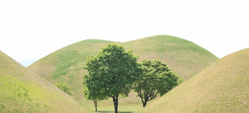 Private Excursion: Gyeongju Highlights Tour from Busan
