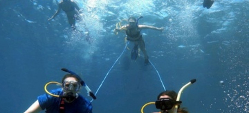 Full Day Charter with SNUBA/Snorkeling