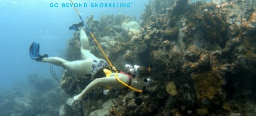 BVI Snuba Tour for Two: Swim with Turtles & Explore Coral Reefs