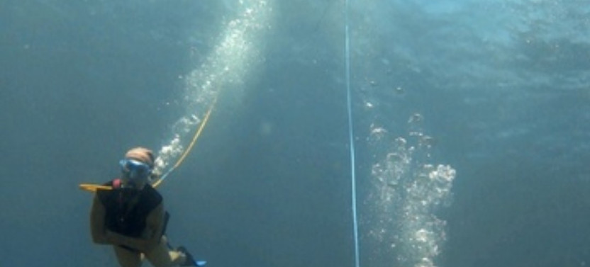 BVI Snuba Tour for Two: Swim with Turtles & Explore Coral Reefs