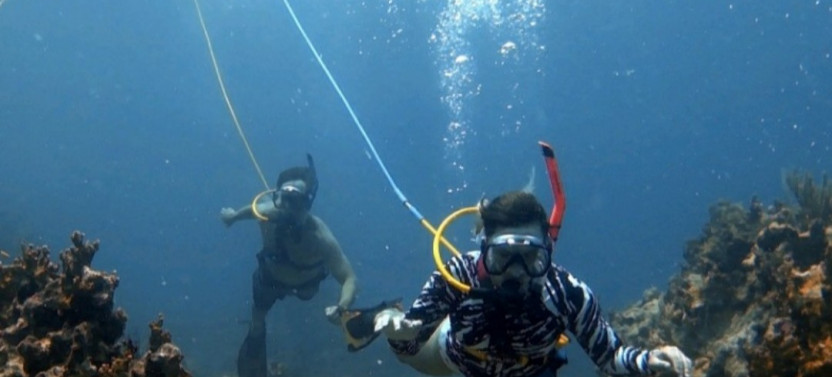 BVI SNUBA Adventure
