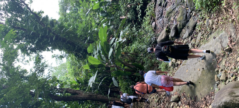 Natural Pool River Nature Walk & Luquillo Beach Combo