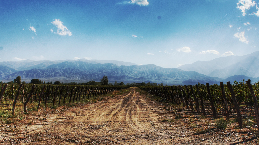 Valle De Uco - Deluxe Private Tour - Mendoza | Project Expedition