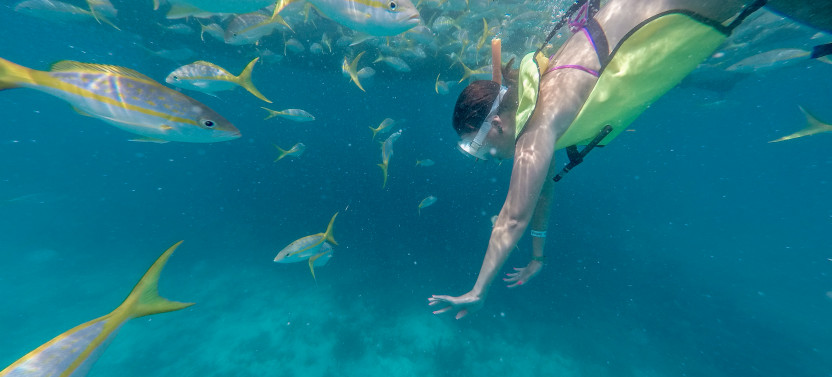 Key West Mimosa Morning Reef Snorkel