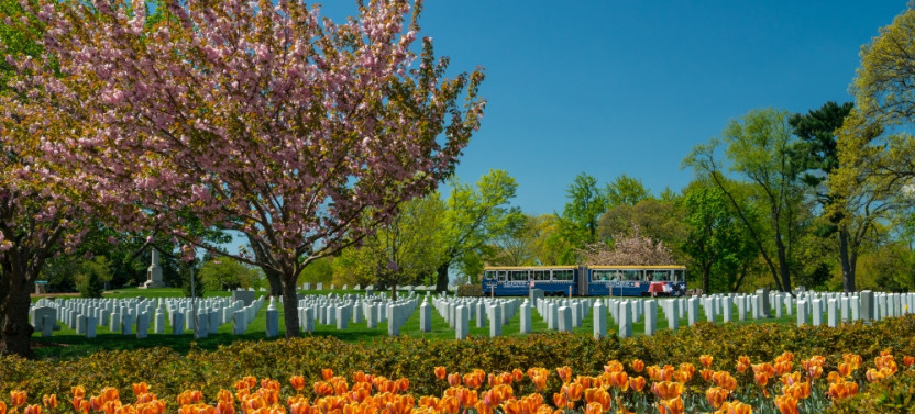 Arlington National Cemetery Guided Trolley Tour
