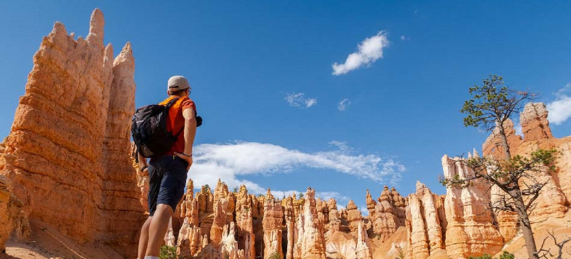 11 Day Yellowstone Rocky Mountain Explorer - Camp/Hotel Private