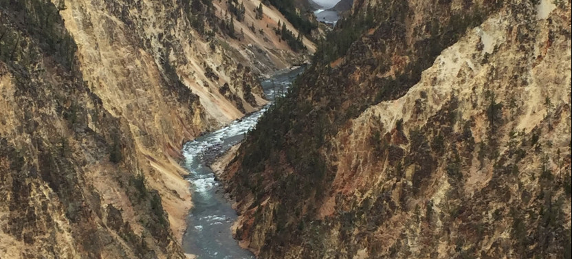 4 Day Yellowstone + Tetons from Salt Lake City - Camping Private