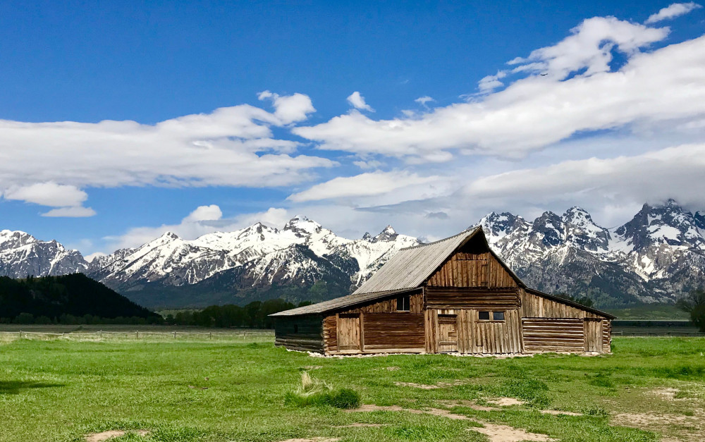 4 day Yellowstone + Tetons from Salt Lake City - Camping Private