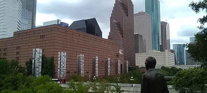 Houston Sightseeing Tour 2.5-hour Air-Conditioned Van Tour