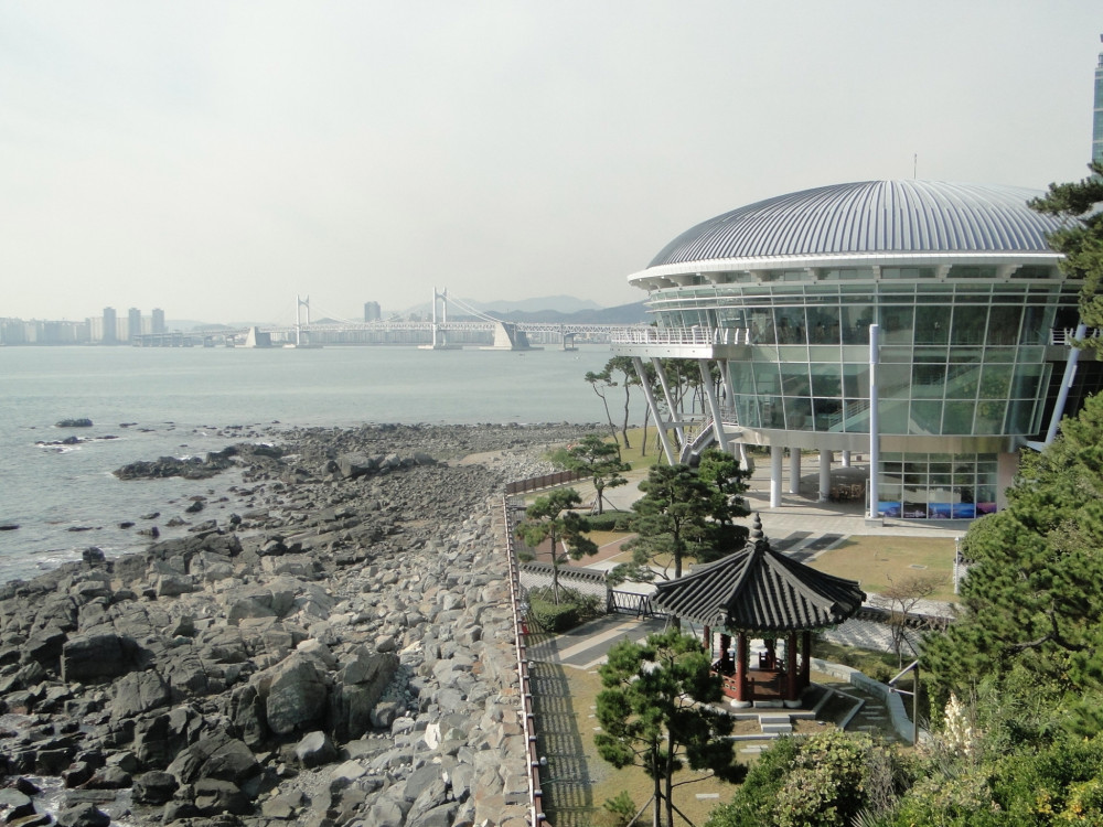 Busan Incredible Sightseeing City Tour