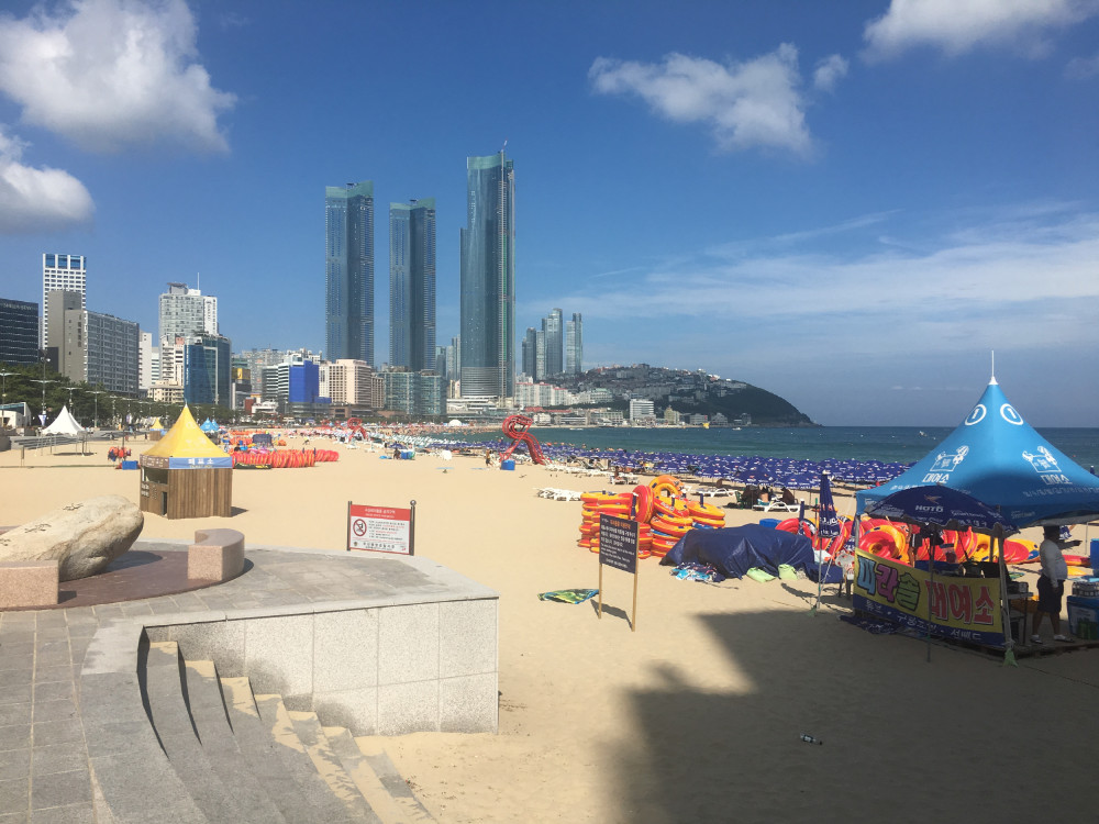 Busan Incredible Sightseeing City Tour - Busan | Project Expedition