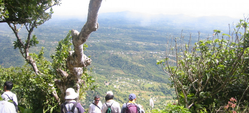 Half Day Excursion : Gros Piton Climb From Soufriere
