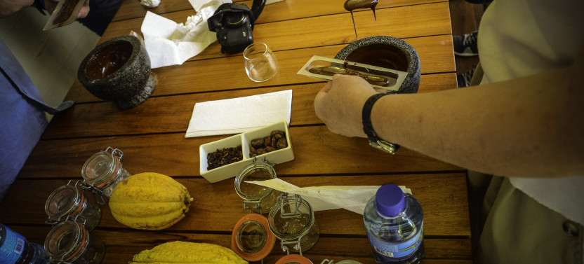 Half Day Excursion: From Beans to Chocolate Bar From Soufriere