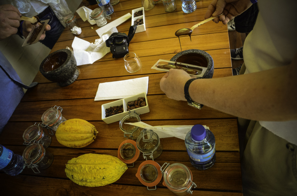 Half Day Excursion: From Beans to Chocolate Bar From Soufriere