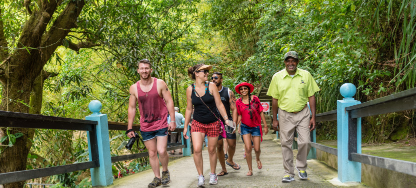 Half Day Excursion: Volcano & Mud Baths From Soufriere