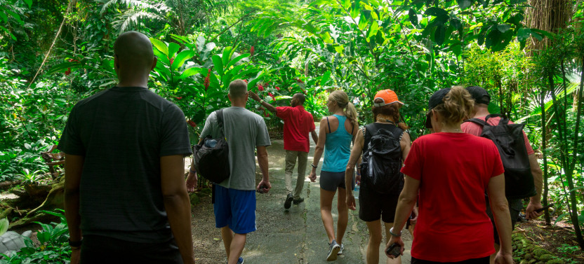 Half Day Excursion: Treasures of Soufriere From Soufriere