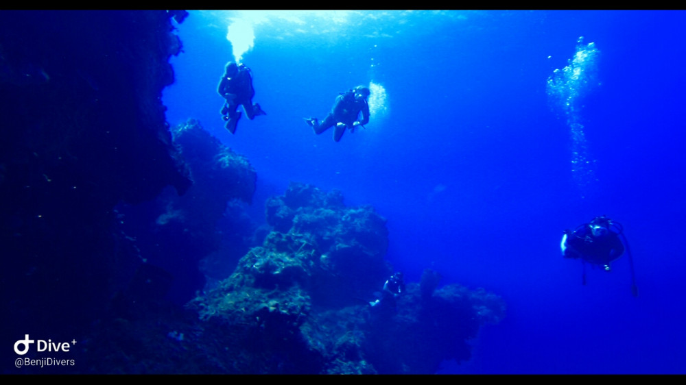 Discover Scuba Diving 2 Tanks Boat Dive - Cozumel | Project Expedition