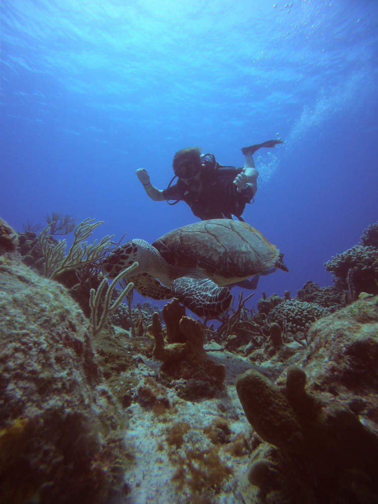 PADI Divemaster Course Cozumel Project Expedition