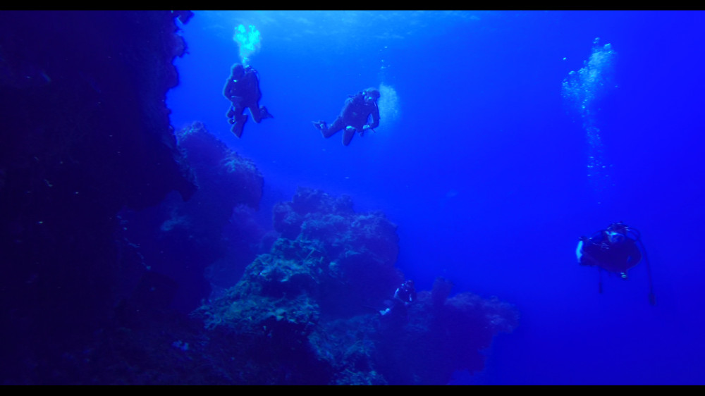 Fun Dive 2 Tanks from Boat (with Full Gear) - Cozumel | Project Expedition