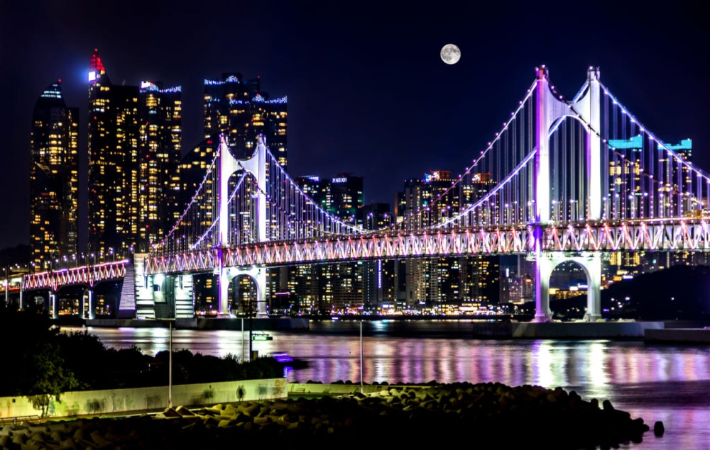 Busan by Night