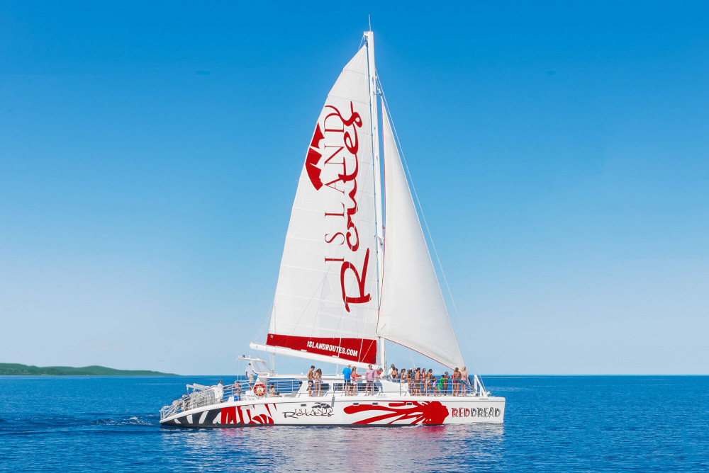 Reggae Catamaran and Snorkeling Cruise from South Coast