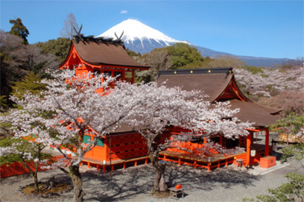 mt fuji tours from shimizu