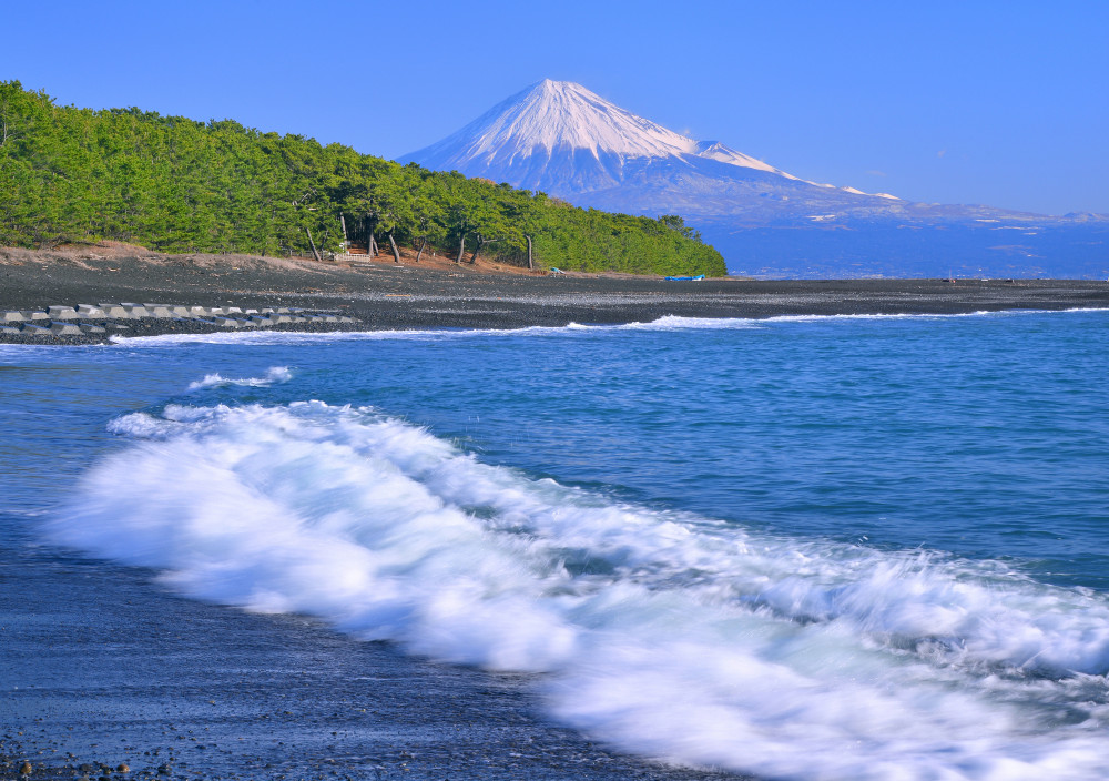 Private Sightseeing Tour from Shimizu Port / Van Taxi