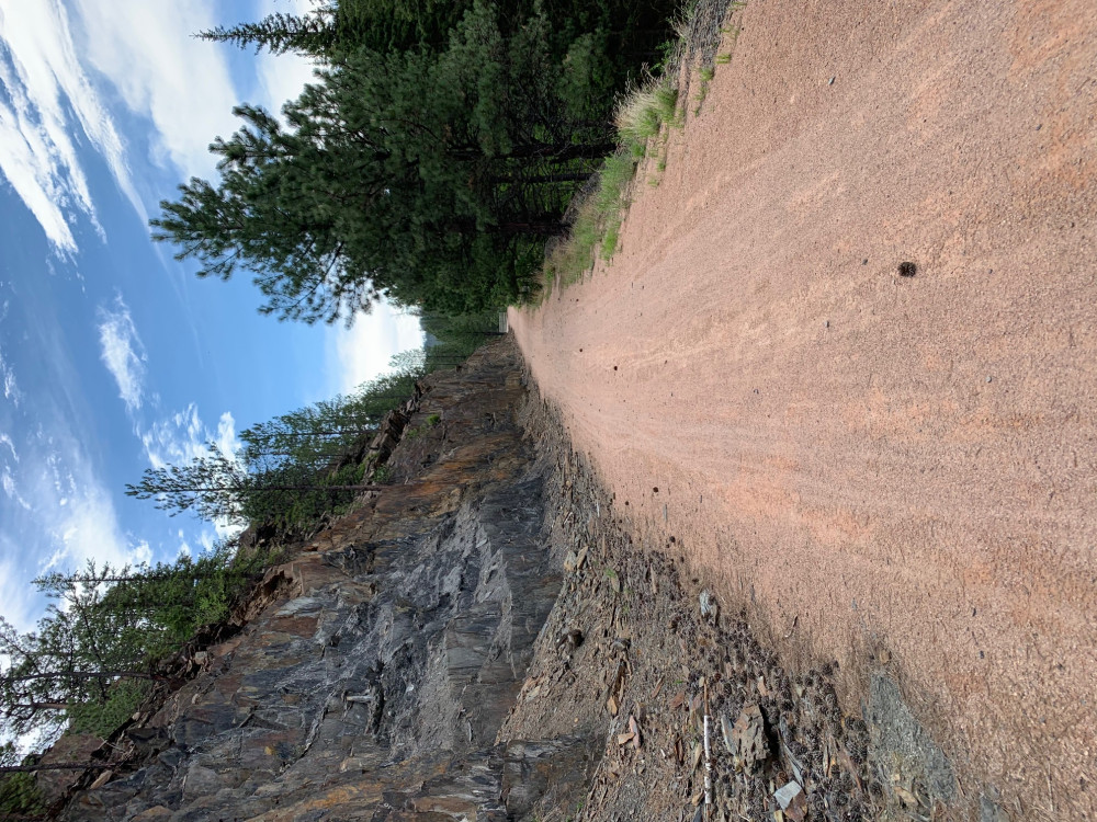 Private Mickelson Trail Bike Ride Custer Project Expedition