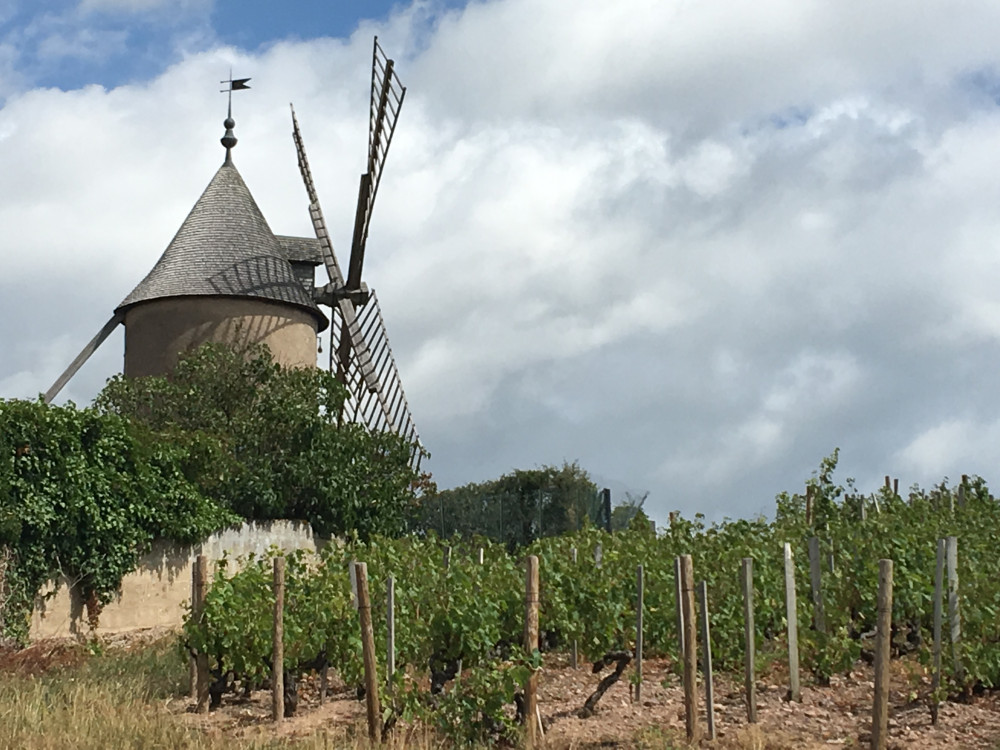 Private Tour: Beaujolais Full Day Wine Tasting - Lyon | Project Expedition