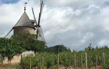 Rhône Trip1