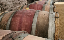 Rhône Trip2