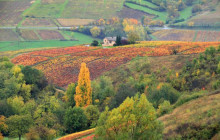 Rhône Trip2