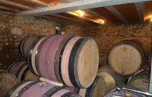 Rhône Trip3