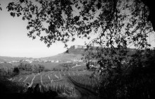 Rhône Trip3