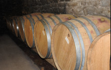 Rhône Trip2