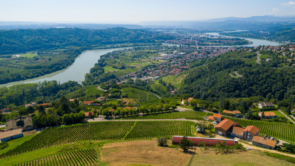 Private: Northern Rhône Valley Half Day Wine Tasting