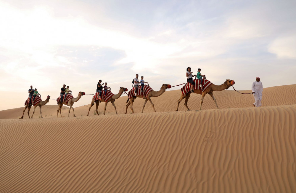 Small Group Morning Desert Safari, Camel Ride & Sandboarding - Abu ...