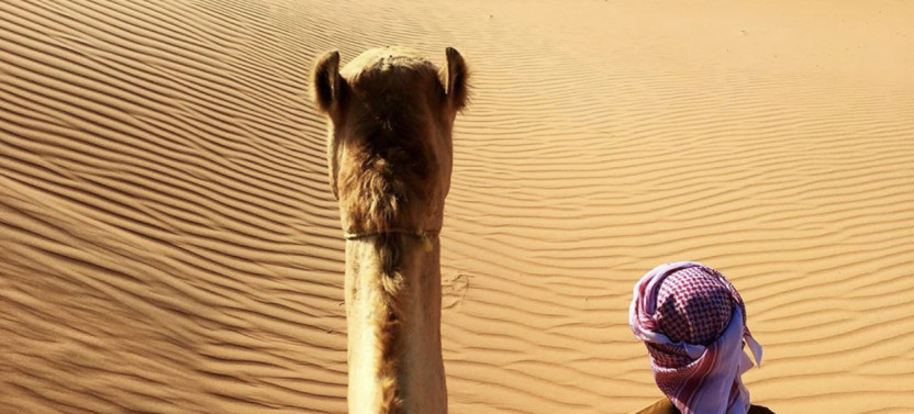Full Day Safari Wahiba Sands, Muscat