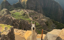 Short Inca Trails 2 Days to Machu Picchu