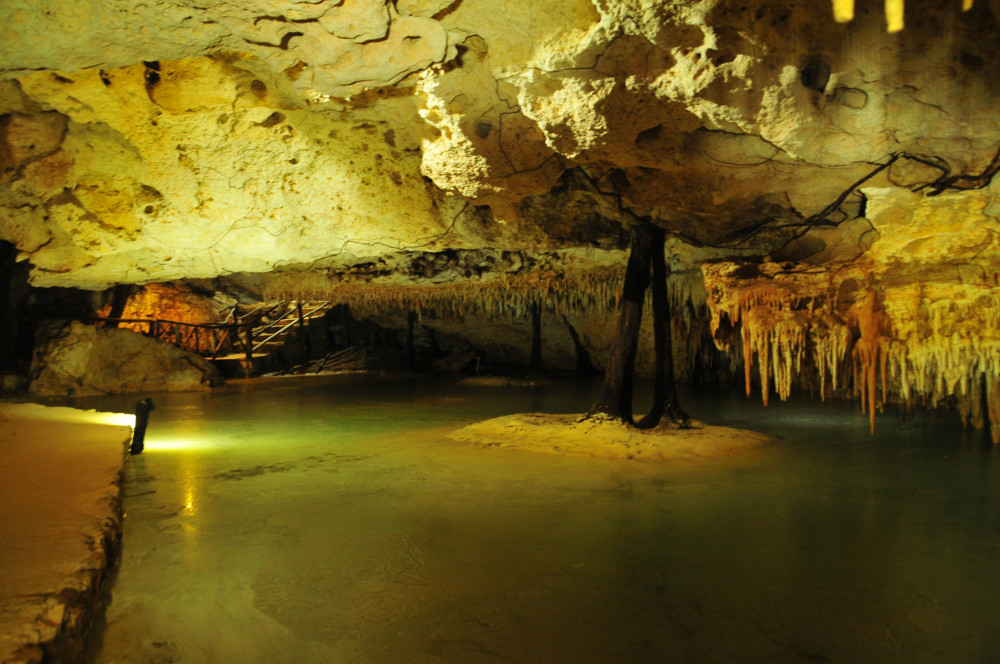 Eco Tours Adventure