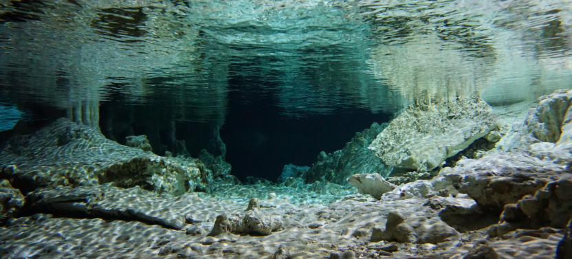 Private Cenotes Tour with Snorkeling at Yalku Lagoon